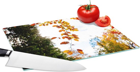 Planche à découper en Verres - 28x20 - Automne - Feuilles - Nature - Planches à découper en Glas