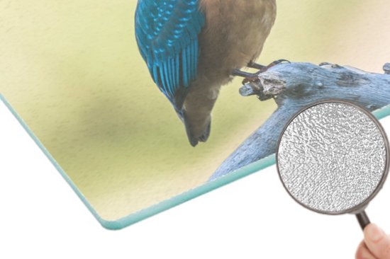 Planche à découper en Verres - 39x28 - Martin-pêcheur - Branche - Vogel - Planches à découper en Glas