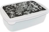 Broodtrommel Wit - Lunchbox - Brooddoos - Kunst - Koraal - Ernst Haeckel - Oude meesters - Natuur - 18x12x6 cm - Volwassenen