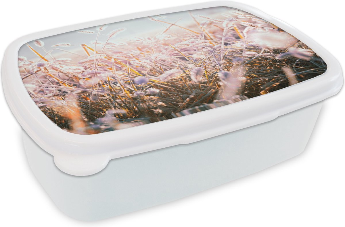 Broodtrommel Wit - Lunchbox - Brooddoos - Gras - Zon - Winter - Sneeuw - 18x12x6 cm - Volwassenen
