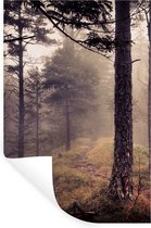 Muurstickers - Sticker Folie - Mist - Herfst decoratie - Natuur - Bos - 40x60 cm - Plakfolie - Muurstickers Kinderkamer - Zelfklevend Behang - Zelfklevend behangpapier - Stickerfolie