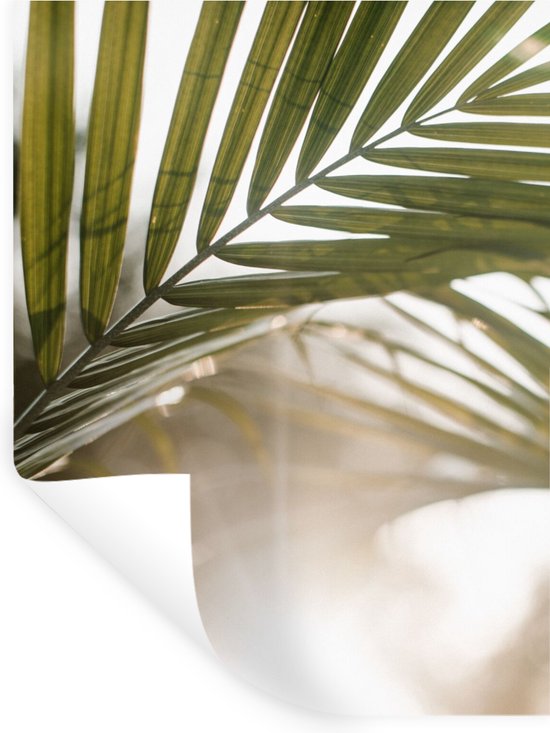 Stickers muraux Palmier Feuille de palmier Soleil Été 90x120