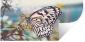 Muurstickers - Sticker Folie - Vlinder - Bloemen - Lente - 80x40 cm - Plakfolie - Muurstickers Kinderkamer - Zelfklevend Behang - Zelfklevend behangpapier - Stickerfolie