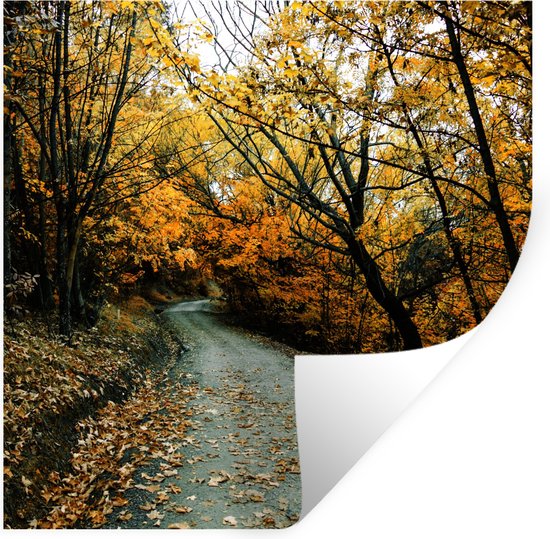 Stickers Stickers muraux - Feuilles - Automne - Forêt - 30x30 cm - Feuille adhésive