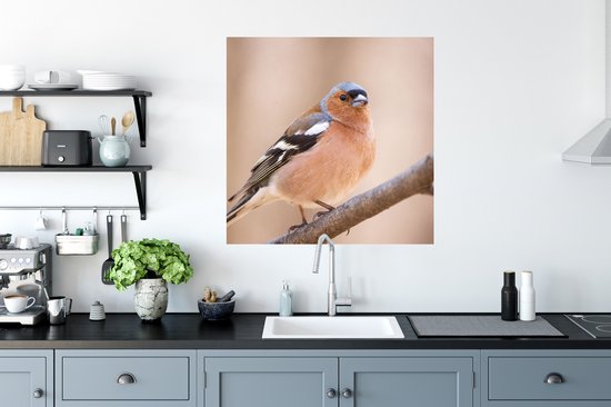 Stickers muraux - Film autocollant - Vogel - Animaux - Pinson - 50x50 cm - Film adhésif - Stickers muraux Chambre d'enfant - Papier peint autocollant - Papier peint autocollant - Film autocollant