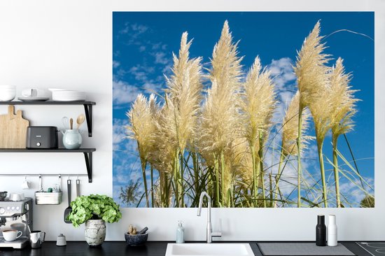 Stickers muraux - Herbe de la pampa - Plante - Nature - 160x120 cm - Feuille adhésive XXL