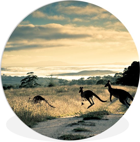 Wandcirkel - Muurcirkel - ⌀ - Kunststof - Australië - Kangoeroe - Dieren