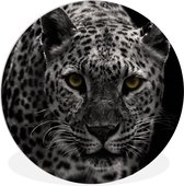 Cercle mural - Cercle mural intérieur - Léopard - Zwart - Wit - ⌀ 60 cm - Décoration murale - Peintures ronds