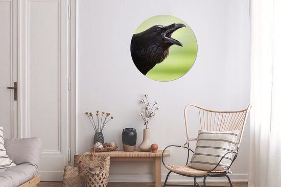 Représentation d'un corbeau qui chante Assiette en plastique cercle mural ⌀ 60 cm - impression photo sur cercle mural / cercle vivant (décoration murale)