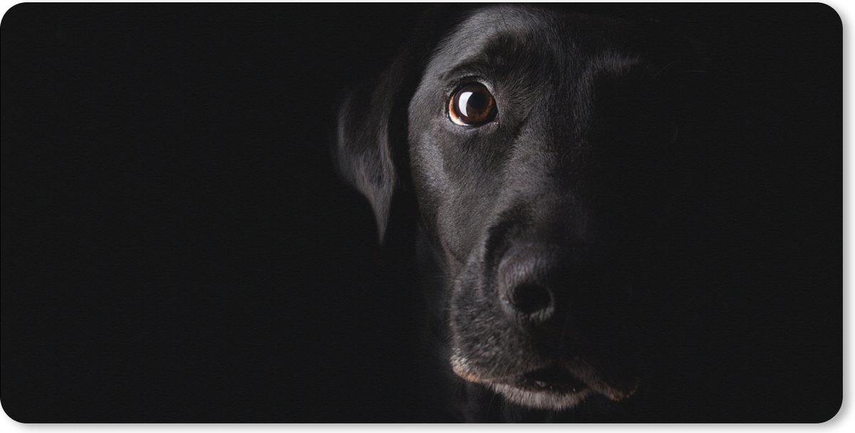 Muismat XXL 120x60 cm - Bureau onderlegger - Bureau mat Een zwarte Labrador Retriever op een zwarte achtergrond - Bureaumat - Gaming mousepad xl - Bureaulegger groot - Computer deskmat