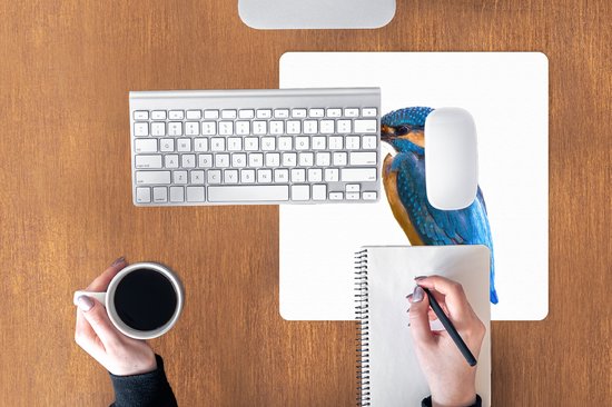 Muismat XXL 40x40 cm - Bureau onderlegger - Bureau mat IJsvogel - Veren - Tak - Blauw - Bureaumat - Gaming mousepad xl - Bureaulegger groot - Computer deskmat