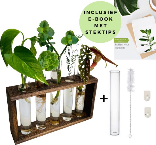 Foto: Stekstation met 5 reageerbuisjes en ophangsysteem incl e book met stektips echt hout glas hydrocultuur hydroponie cadeau voor plantenliefhebber botanica mama