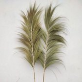Rayung Gras Pluimen Naturel - Decoratieve Pluimen - 2m - Handgemaakt
