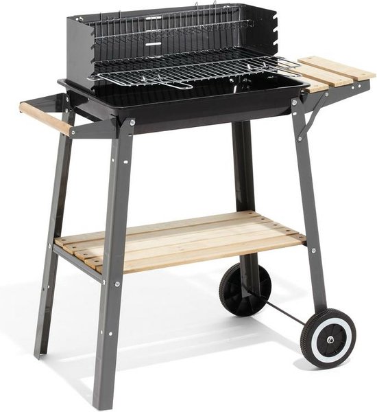 Barbecue à charbon Rectangulaire Acier Darwin