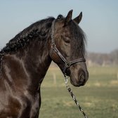 HALSTER SET ORIGINALS | Pony