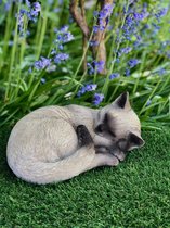 Sleeping cat S2 Siamese Cream 10 cm de haut - chat - polyester - polystone - statue - statue de jardin - plastique de haute qualité - figurine décorative - intérieur - accessoire - pour intérieur - pour extérieur - cadeau - cadeau