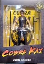 Cobra Kai Kreese Action Figure