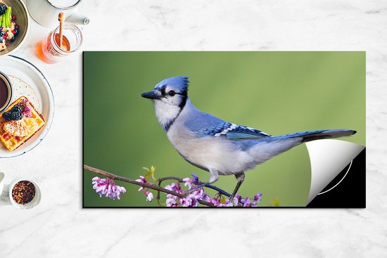 Chefcare Inductie Beschermer Blauwe Gaai Vogel op een Tak - Kleur - 95x55 cm - Afdekplaat Inductie - Kookplaat Beschermer - Inductie Mat