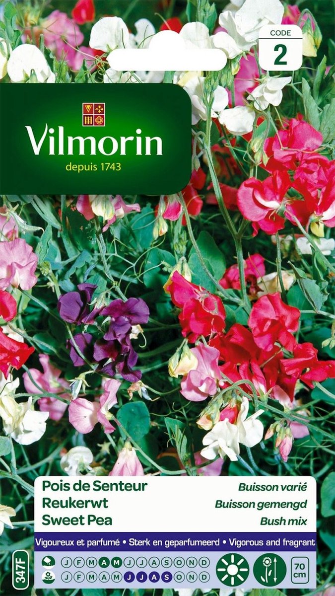 Vilmorin - Reukerwt - Buisson gemengd - V347