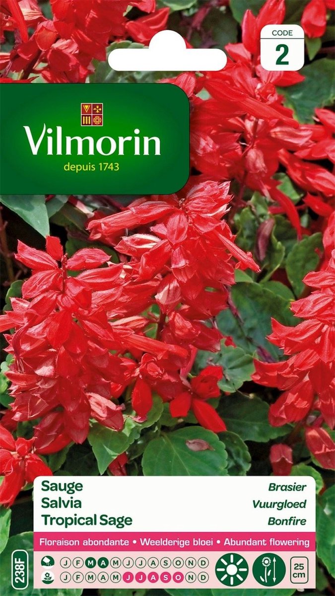 Vilmorin - Salvia - Vuurgloed - V238