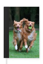 Notitieboek - Schrijfboek - Twee honden spelen met bal - Notitieboekje klein - A5 formaat - Schrijfblok