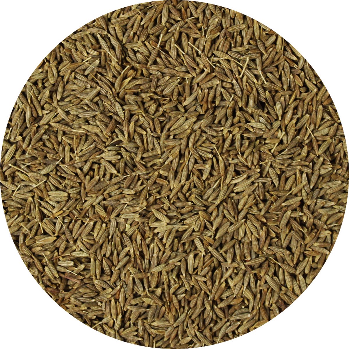 Goedkoopste Van Beekum Specerijen - Komijnzaad Heel - 20 KG - Zak (bulk verpakking