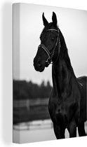 Tableau sur toile Portrait d'un cheval - noir et blanc - 20x30 cm - Décoration murale