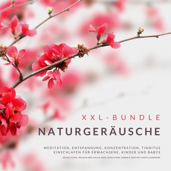 XXL-Bundle: Naturgeräusche - cover