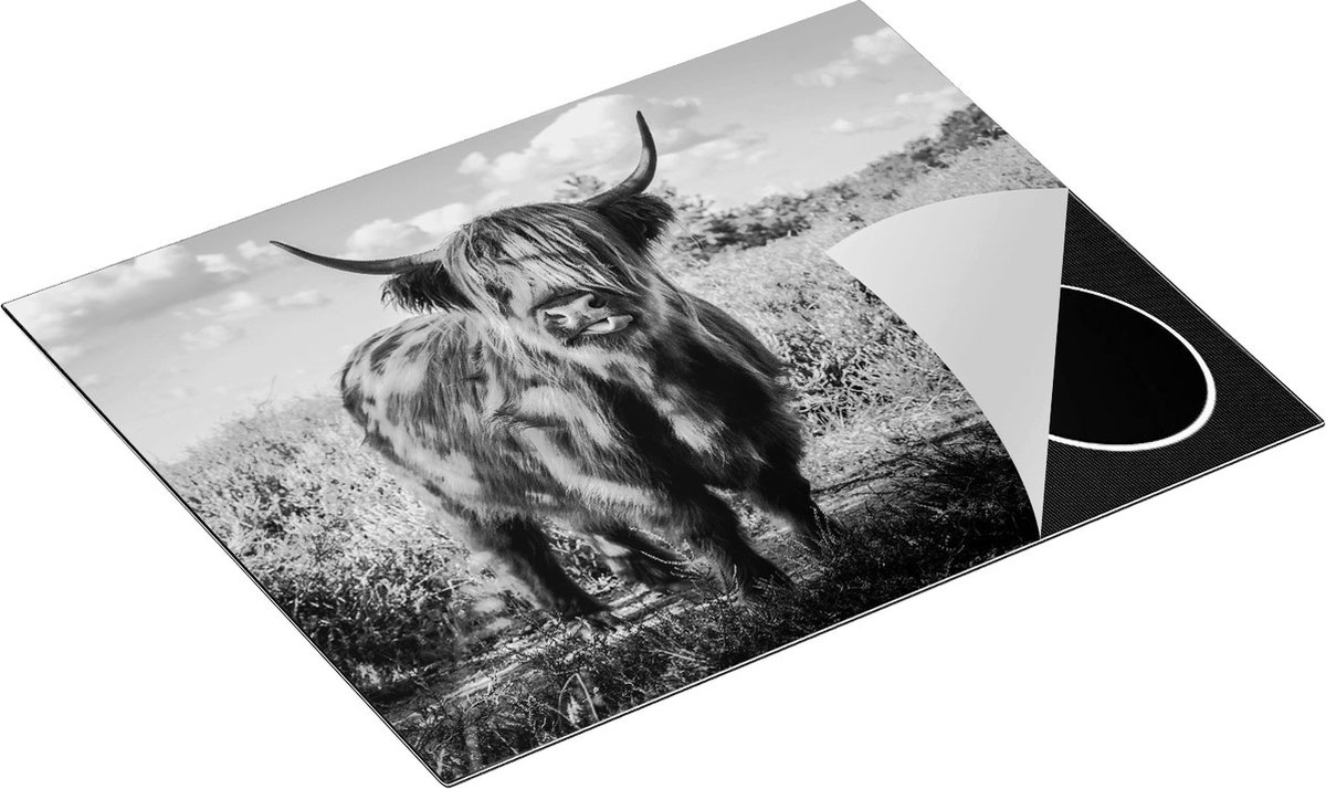 Chefcare Inductie Beschermer Schotse Hooglander Koe in de Wei - Zwart Wit - 65x52 cm - Afdekplaat Inductie - Kookplaat Beschermer - Inductie Mat