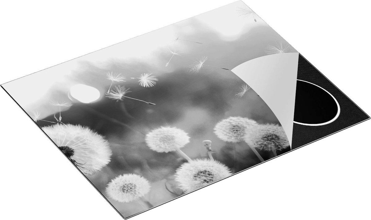 Chefcare Inductie Beschermer Paardenbloemen tijdens Zonsondergang - Zwart Wit - 65x50 cm - Afdekplaat Inductie - Kookplaat Beschermer - Inductie Mat