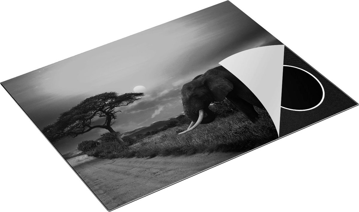 Chefcare Inductie Beschermer Olifant in het Wild tijdens Zonsondergang - Zwart Wit - 77x59 cm - Afdekplaat Inductie - Kookplaat Beschermer - Inductie Mat