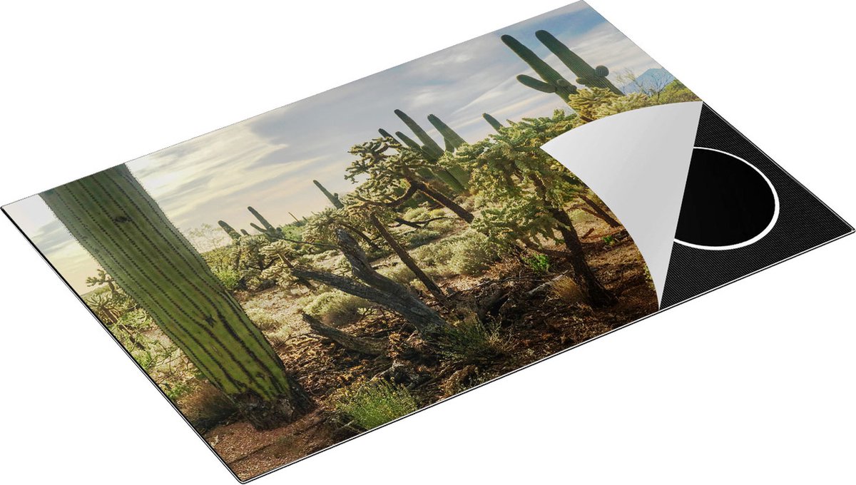 Chefcare Inductie Beschermer Cactus Planten in het Wild - 81x52 cm - Afdekplaat Inductie - Kookplaat Beschermer - Inductie Mat