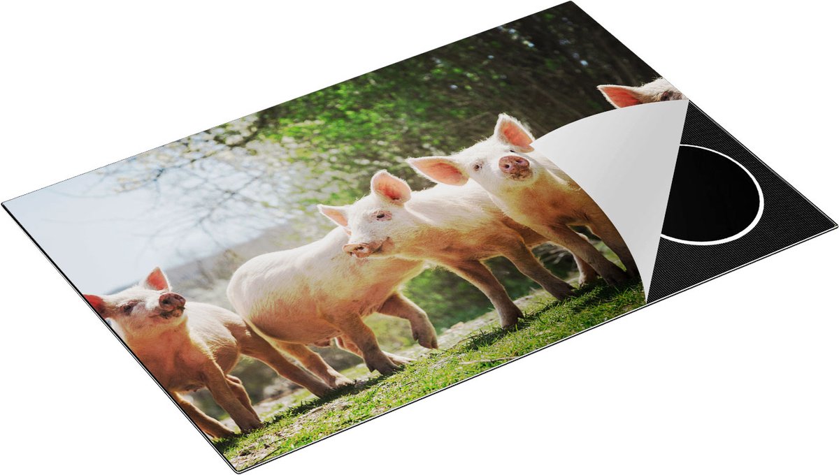 Chefcare Inductie Beschermer Groep Jonge Varkens - 80,2x52,2 cm - Afdekplaat Inductie - Kookplaat Beschermer - Inductie Mat