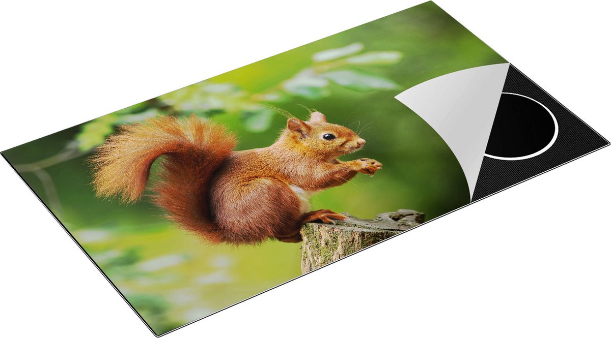 Chefcare Inductie Beschermer Eekhoorn op een Boomstam in het Bos - 89,6x51,6 cm - Afdekplaat Inductie - Kookplaat Beschermer - Inductie Mat