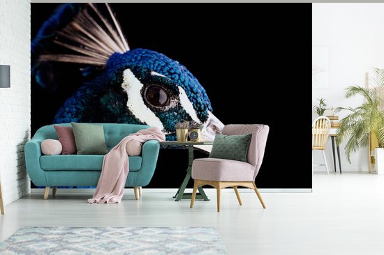 Papier peint Papier peint photo en vinyle - Gros plan paon largeur 390 cm x hauteur 260 cm - Tirage photo sur papier peint (disponible en 7 tailles)