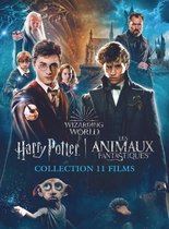 Harry Potter - 1 - 7.2 Collection + Fantastic Beasts 1 - 3 (DVD) (Niet Nederlands gesproken)
