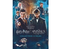 Harry Potter - 1 - 7.2 Collection + Fantastic Beasts 1 - 3 (DVD)
