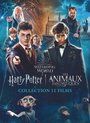 Harry Potter - 1 - 7.2 Collection + Fantastic Beasts 1 - 3 (DVD)