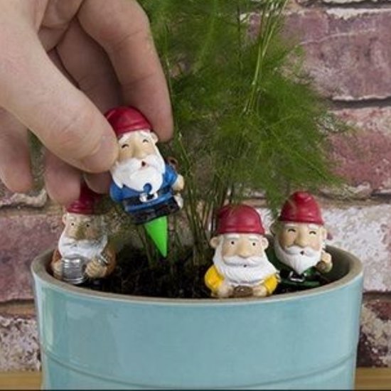 Gift Republic Lot de 4 Mini nains de Garden