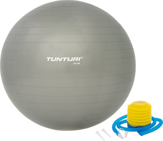 Tunturi Fitnessbal - Gymball - Swiss ball - 55 cm - Incl. pomp - Zilver - incl. gratis fitness app