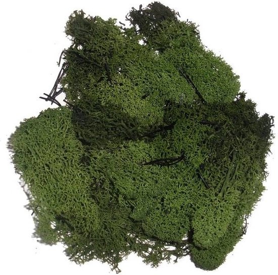 Decoratie nep mos 50 gram - groen - Hobby/knutselen - herfst/kerst thema - opvullen - decoreren - nature