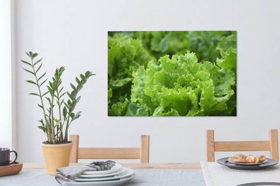 Gros plan d'une tête de laitue Toile 60x40 cm - Tirage photo sur toile (Décoration murale salon / chambre)