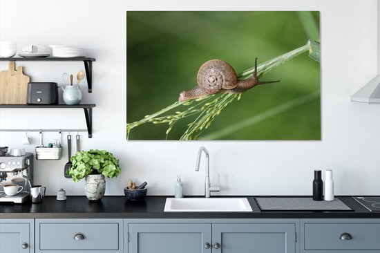 Tableau sur toile Escargot rampant - 120x80 cm - Décoration murale