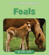 So Cute! Baby Animals - Foals