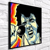 Pop Art Elvis Presley Acrylglas - 80 x 80 cm op Acrylaat glas + Inox Spacers / RVS afstandhouders - Popart Wanddecoratie Acrylglas - 80 x 80 cm op 5mm dik Acrylaat glas + Inox Spacers / RVS afstandhouders - Popart Wanddecoratie