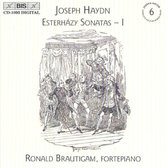 Ronald Brautigam - Keyboard Sonatas Vol 6 (CD)