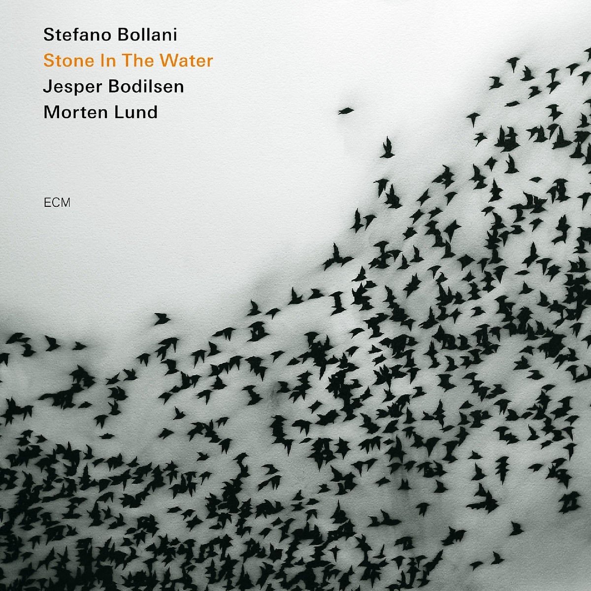 Stefano Bollani Trio - Stone In The Water (CD)