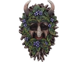 Nemesis Now - Alder 20.2cm Muurdecoratie - Multicolours
