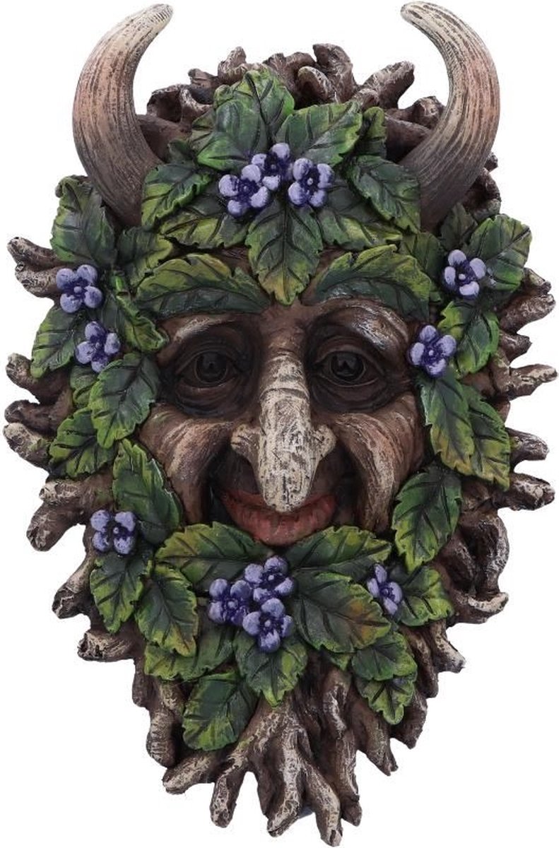 Nemesis Now Muurdecoratie Alder 20.2cm Multicolours