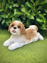 Shih Tzu bruin en wit - hond - dog - 20 cm hoog - polyester - polystone - beeld - tuinbeeld - hoogkwalitatieve kunststof - decoratiefiguur - interieur - accessoire - voor binnen - voor buiten - cadeau - geschenk